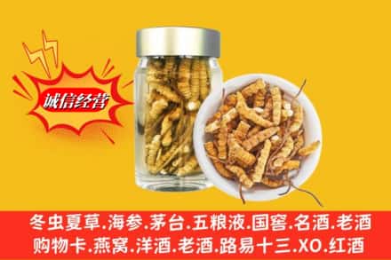 运城夏县回收散虫草