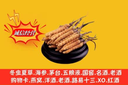 运城夏县名酒回收冬虫夏草.jpg